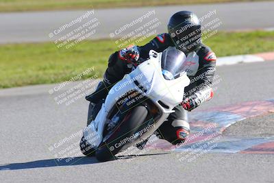 media/Jan-20-2023-Fastrack Riders (Fri) [[f2ad32aba3]]/Level 3/session 5 turn 13/